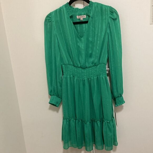 NWT Nanette by Nanette Lepore Shadow Stripe Long Sleeve Smocked Dress in Green. - Picture 2 of 9